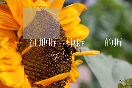 征地拆遷中，拆遷戶的拆遷意愿重要嗎？！